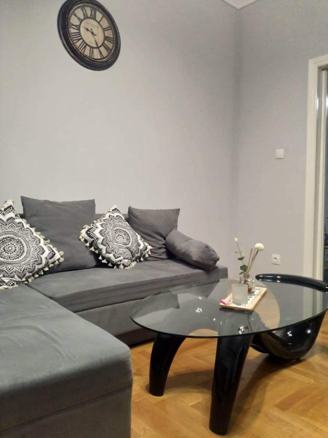 A Convenient Apartment In The Heart Of Athens Luaran gambar
