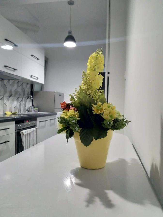 A Convenient Apartment In The Heart Of Athens Luaran gambar
